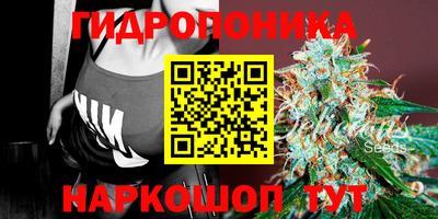 амф Ливны