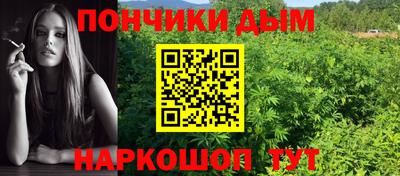 jwh Лесосибирск