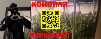 jwh Лесосибирск