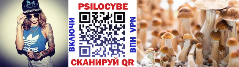 Псилоцибиновые грибы прущие грибы  Железногорск 