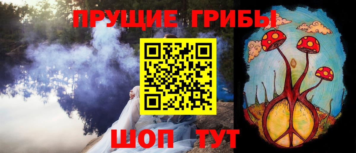 Псилоцибиновые грибы GOLDEN TEACHER  купить наркотики цена  Железногорск  Псилоцибиновые грибы ЛСД  Вход с VPN 